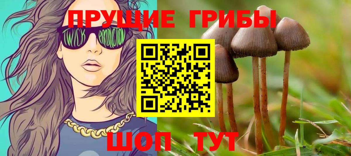 Губаха  Псилоцибиновые грибы GOLDEN TEACHER  Вход с VPN 